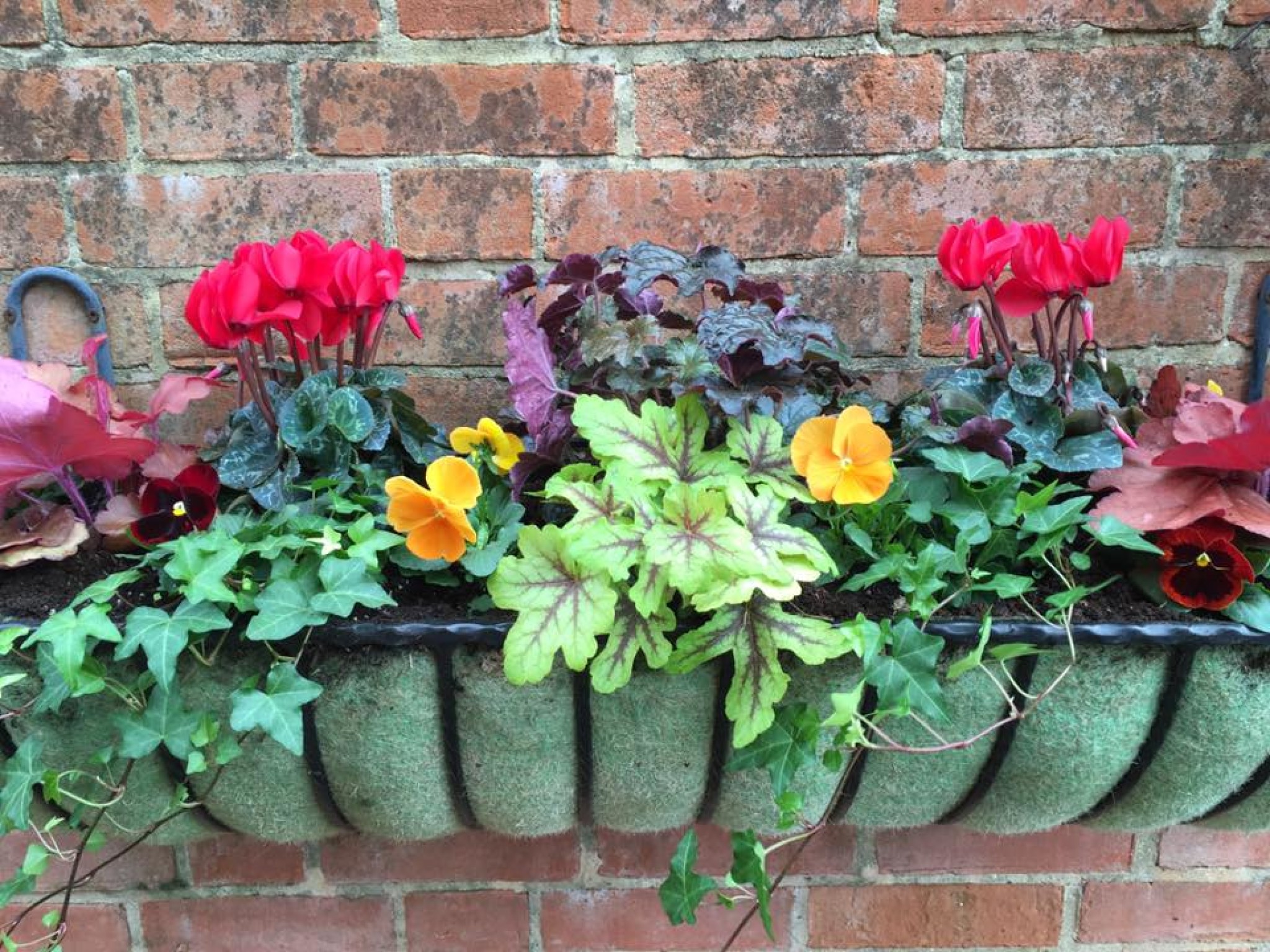 Blooming Lovely Hanging Baskets in Hampshire
